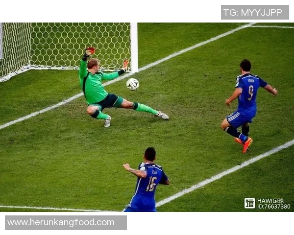 足球明星罗贝尔的职业生涯与成就全解析