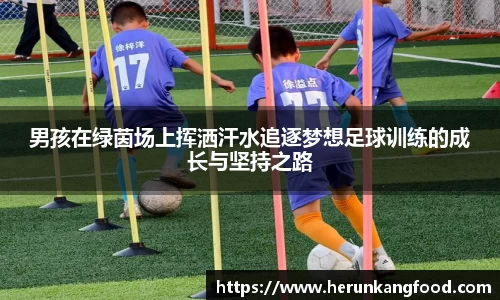 男孩在绿茵场上挥洒汗水追逐梦想足球训练的成长与坚持之路